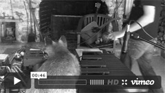 1fus� 'Cour Espagnole' // enregistrement du xylophone